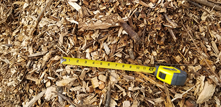 Natural Wood Chips